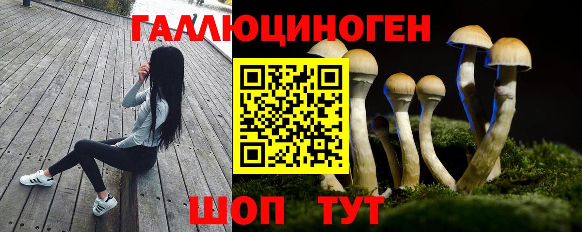 Галлюциногенные грибы MAGIC MUSHROOMS Дербент