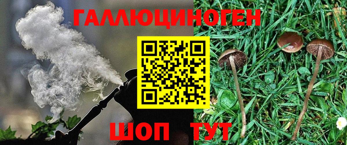 Дербент  где найти наркотики  Вход с VPN  Галлюциногенные грибы Psilocybine cubensis 